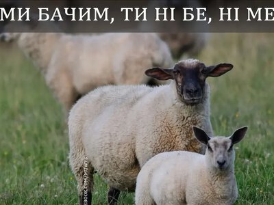Одеський гумор: робочий режим офіційно не знайдено
