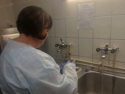 Що насправді діється у школах Закарпаття: раптові ревізії та прихована небезпека для дітей