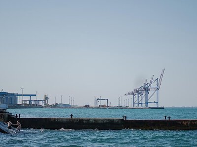 Росія хоче спричинити голод у світі: британська депутатка про блокаду українських портів
