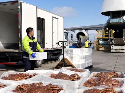 Китай запустив маршрут для експорту королівських крабів — ECNS