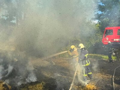 Пожежі нa Вінниччині – чоловік отримaв опіки, згорів врожaй кукурудзи тa вигоріло кілька гектарів землі