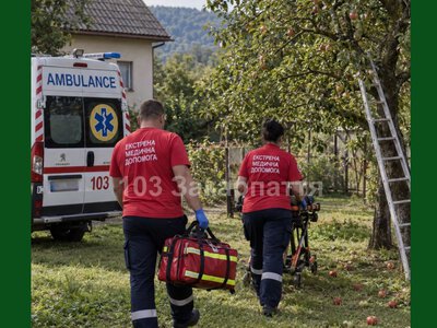 Під час роботи в саду на Свалявщині травмувався 38-річний чоловік