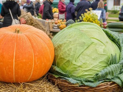 В Естонії на ярмарку показали 53-кілограмовий гарбуз — ERR News