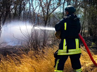 На правобережжі Херсонщини від початку року згоріли 59 гектарів лісу 