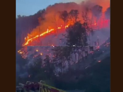 На Мукачівщині масштабна лісова пожежа: до гасіння залучили понад 50 людей
