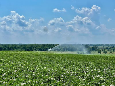 Українські гідромеліоративні системи подали аграріям понад 28 мільйонів кубометрів води