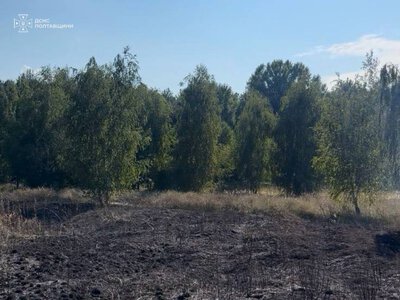 У Маламівці вигорів гектар сухостою