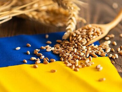 Українського зерна стало менше на світовому ринку: експорт рекордно впав