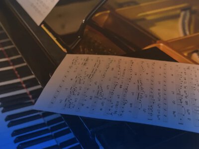 Юні музикантки з Луківської школи мистецтв здобули перші місця на міжнародному конкурсі