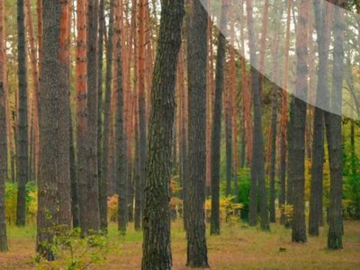 Точний прогноз погоди в Україні на 22 вересня: Дощі, рвучкий вітер та похолодання до +12 °С