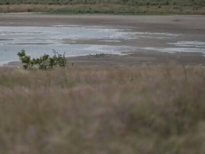 Зафіксовано підвищений рівень пилу в повітрі: роз'яснення та рекомендації для мешканців