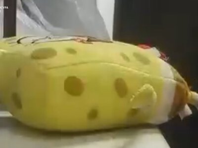 На Одещині працівник СІЗО намагався пронести наркотики ув’язненим у іграшці «Спанч-Боб»