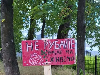 Київтеплоенерго заперечує вирубку дерев на Теремках
