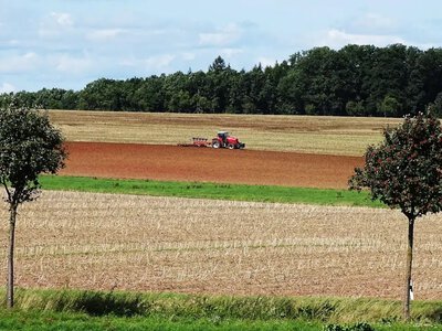 На Рівненщині аграрії розпочали сівбу озимих культур