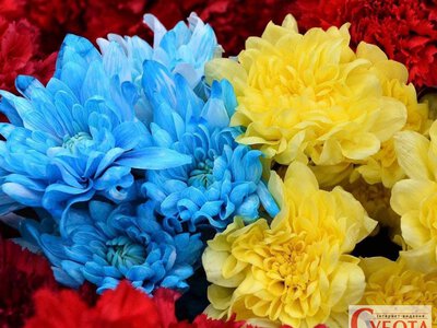 У Житомирі попрощалися з військовим Віталієм Годлевським