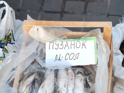 Пузанок з’являється у річках Херсонщини восени через солоність води