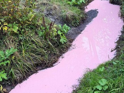 У Києві на станції Академмістечко повідомили про можливе забруднення річки Любка: чому вона стала рожевою
