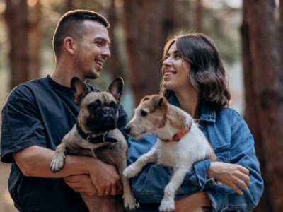 На вікенд із чотирилапим другом: 6 pet-friendly комплексів біля Києва