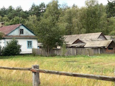 Між лісом і Стиром: як живуть у селі Куликовичі на Волині