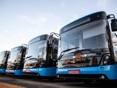 Ужгород долучається до Міжнародного дня без автомобіля