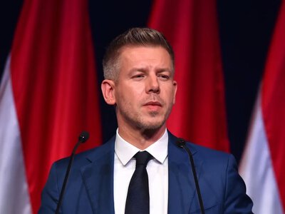 Петер Мадяр виступив проти будівництва нафтосховищ для України в Угорщині