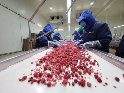 На Кременеччині підприємство з польським капіталом дає роботу понад 200 людям та виходить на ринок ЄС
