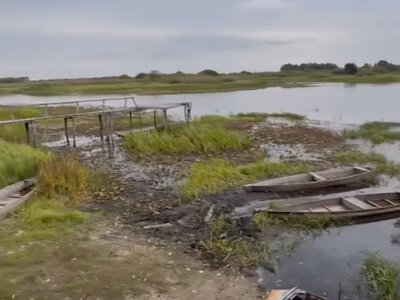 Показали, як обміліла Прип’ять у Сваловичах (фото, відео)