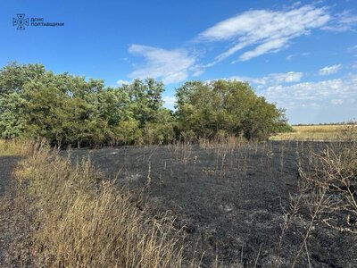 У Кременчуці сталася велика пожежа на відкритій території
