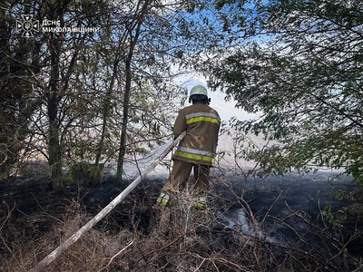 Із 11 пожеж на Миколаївщині за добу три було через ворожі обстріли