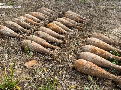На Дубенщині у лісі знайшли 24 міни часів Другої світової війни