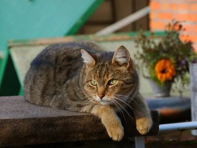 Градуси підскочать до +27 °C: синоптики назвали дні, коли в Україну повернеться справжнє літо 