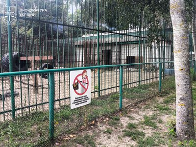 На Полтавщині повідомили про підозру ветеринару через травмування 5-річного хлопчика левицею