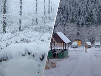 Україна ще не зустріла осінь, а в Карпатах уже зима: випав перший сніг