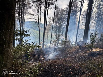 На Мукачівщині триває ліквідація лісової пожежі