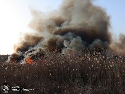 На Миколаївщині у серпні зафіксували майже 350 млн грн збитків від обстрілів