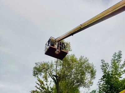 Працівники КП «Ремдільниця» продовжують роботи з благоустрою Кролевця