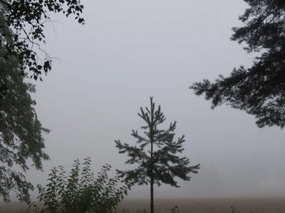 Осіннє рівнодення принесе на Черкащину хмарну та вологу погоду