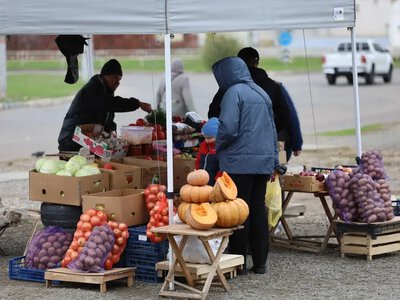 Аграрії на окупованій Херсонщині не можуть продати врожай