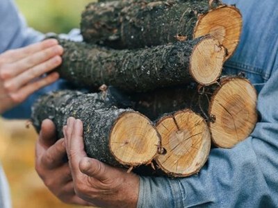 Дуб чи ясен: які дрова ефективніші для опалення у Дніпрі
