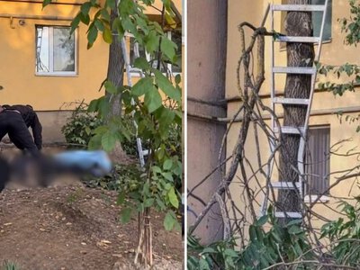 В Ужгороді чоловік загинув, впавши з драбини під час обрізання дерева