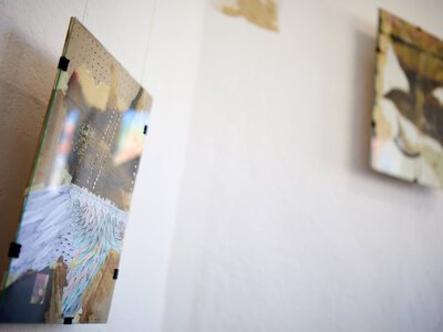 В Івано-Франківську відкрили виставку-перформанс Володимира Кауфмана «Сни про птахів»
