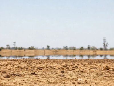 Ель-Ніньйо може спричинити до 451 тисячі додаткових смертей — The Hindu International