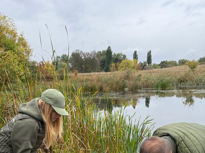Екологи перевірили ставок у селі на Смілянщині після скарг про можливе забруднення