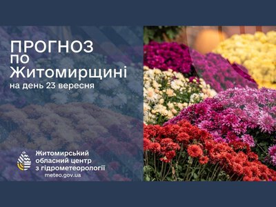 Сьогодні на Житомирщині: холодно та з дощем