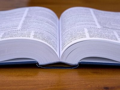 «Вайбкодинг» і «тривога неділі» потрапили до словника: що означають 1400 нових слів