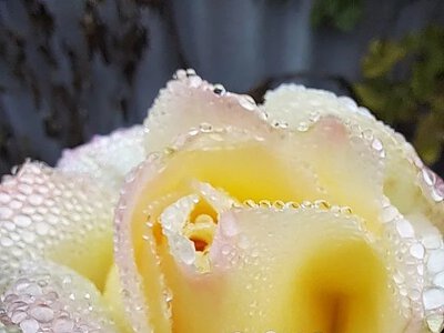 Хмарно і до 19 градусів: якою буде погода на Миколаївщині 24 вересня