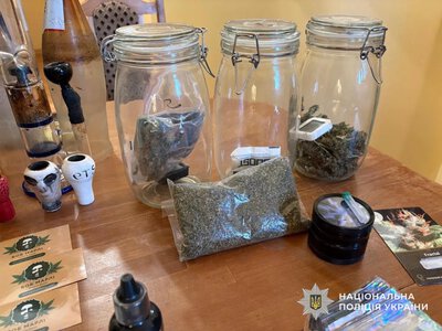 246 кущів конопель і понад пів кіло канабісу: на Закарпатті пройшла спецоперація