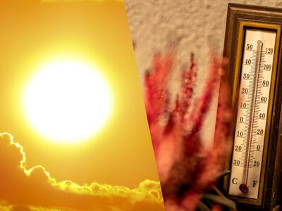 Європу знову накриє аномальна спека: ось де саме буде +40°