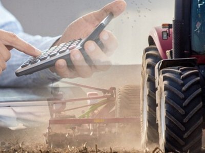 Агробізнес у лідерах за обсягами держгарантій на кредити