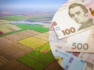 Земельний пай та субсидія: чи впливає він на виплати